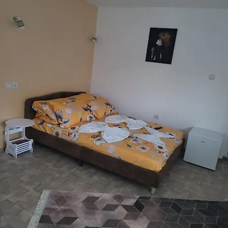 Casa Dintre Munti 3*